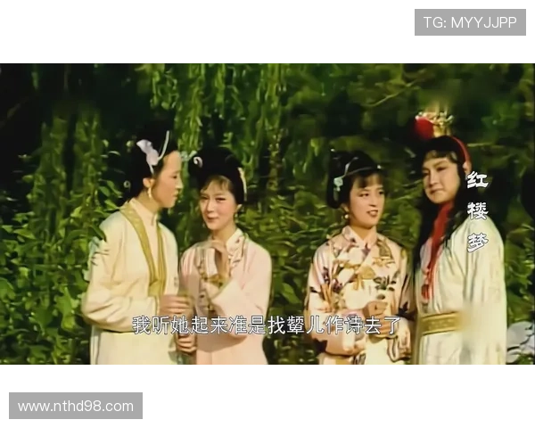 红楼梦:一场跨越时空的豆瓣回响,为何我们仍为之倾倒?